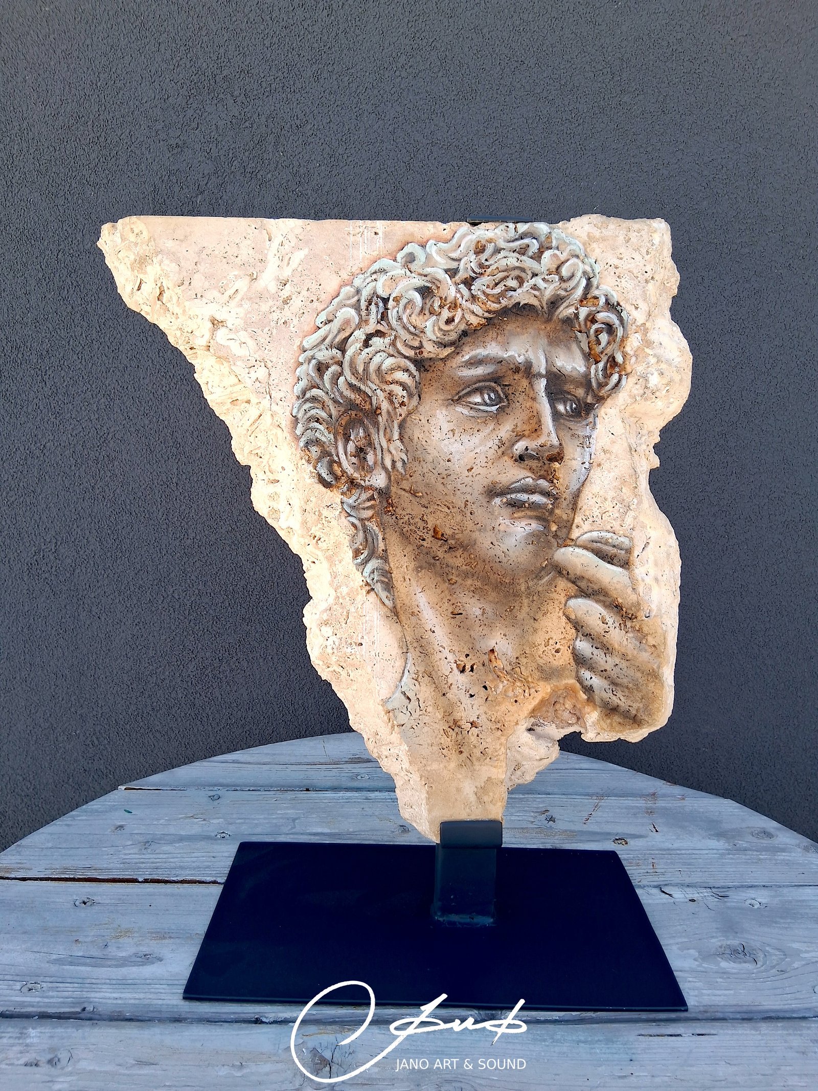 David — The Portrait